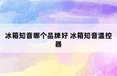 冰箱知音哪个品牌好 冰箱知音温控器